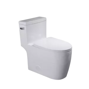 Dual Flush Elongated One-Piece Toilet Seat Included in White Color