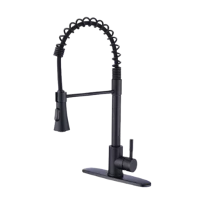 Kitchen Sink Faucet with Deck Plate in Matte Black