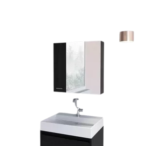 Sines Medicine Cabinet with Four Internal Shelves and Double Door -Black