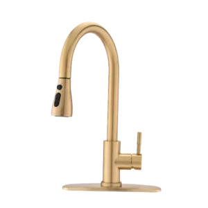 Pull Down Single Handle Kitchen Faucet in Brushed Gold