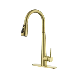 High Arc Single Handle Kitchen Faucet with Pull Down Sprayer in Brushed Gold