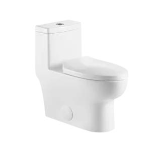 1-Piece Dual Flush Eco Friendly Toilet in White