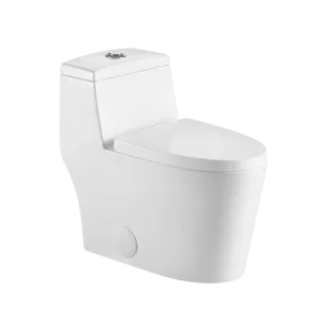 1-Piece Dual Flush Eco Friendly Toilet in White Color