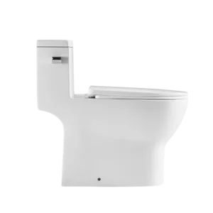 1-Piece Single Flush Ceramic Eco-Friendly Toilet in White