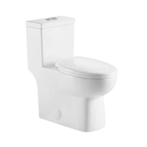 One Piece Dual Flush Modern Elongated Toilet in White