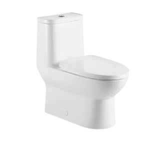 1-Piece Ceramic Dual Flush Elongated Toilet in White
