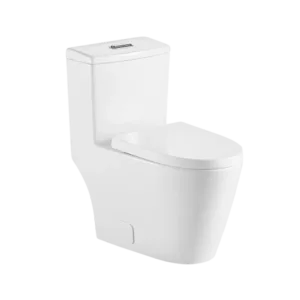 Dual Flush Elongated Ceramic One-Piece Toilet