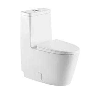 White Ceramic One-Piece Elongated Toilet With Dual Flush