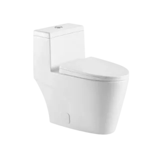 Eco Friendly Dual Flush 1-Piece Toilet in White Color