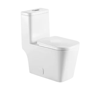 Ceramic One-Piece Elongated Toilet in White Color with Dual Flush