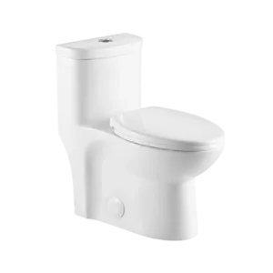 Dual Flush 1-Piece Elongated Ceramic Toilet in White Color