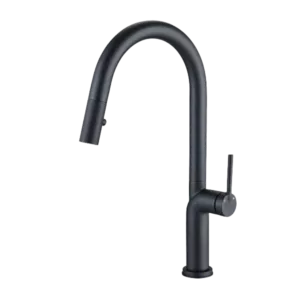 Single Handle Kitchen Faucet in Matte Black