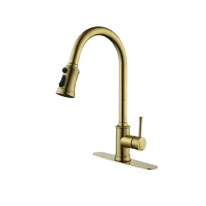 Single Handle High Arc Pull Out Kitchen Faucet, Single Level Stainless Steel Kitchen Sink Faucets with Pull Down Sprayer