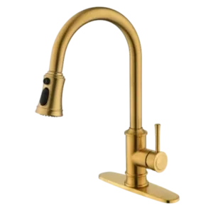 Kitchen Faucet with Pull Out Sprayer