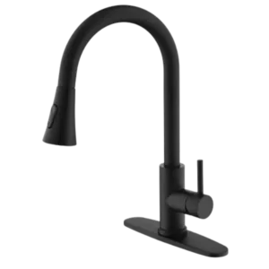 Kitchen Faucet with Pull Out Sprayer