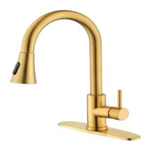 Kitchen Faucet with Pull Out Sprayer
