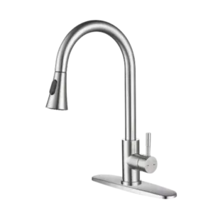 Kitchen Faucet with Pull Out Sprayer