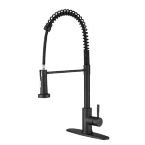 Kitchen Faucet with Pull Out Spraye