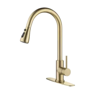 Kitchen Faucet with Pull Out Spraye