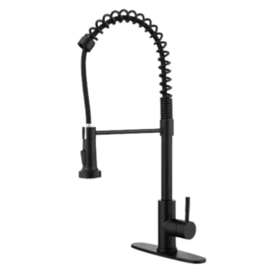 Kitchen Faucet with Pull Out Spraye