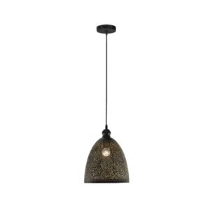 Arbios Metal Perforated Pendant with Matte Black Shade For Indoor