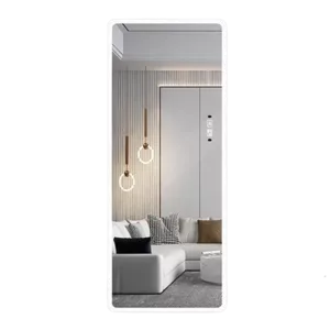 22 in. W x 65 in. H LED Mirror Full Length Mirror, Full Size Mirror, Giant Full Body Mirror Large Floor Mirror
