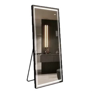 23.6 in. W x 65 in. H LED Mirror Full Length Mirror, Full Size Mirror, Giant Full Body Mirror Large Floor Mirror in Black